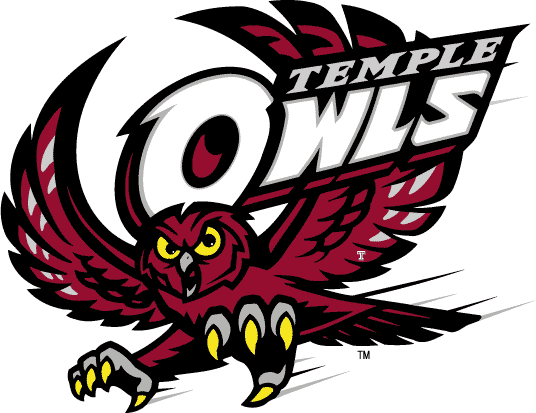 Temple Owls 1996-Pres Primary Logo diy DTF decal sticker